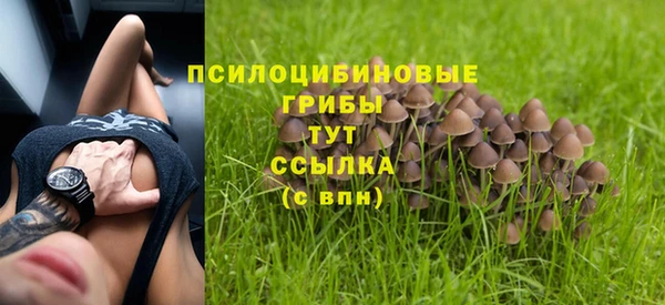 крисы Беломорск