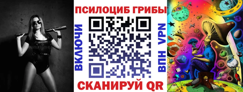 Галлюциногенные грибы Psilocybine cubensis  Завитинск 